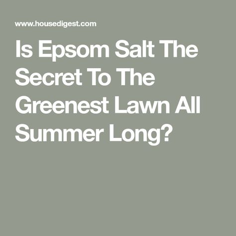 Is Epsom Salt The Secret To The Greenest Lawn All Summer Long? Epsom Salt For Grass Lawn, Epsom Salt For Grass, Epsom Salt Garden, St Augustine Grass, Lawn Weeds, Celtic Salt, Epson Salt, Miracle Grow, Lawn Work