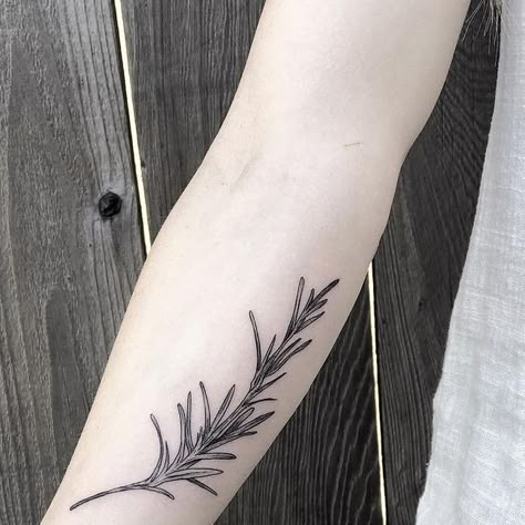 HAYLEY on Instagram: "➕Rosemary➕ #rosemarytattoo #lineworktattoo" Rosemary Sprig Tattoo Simple, Rosemary Tattoo Design, Larch Tattoo, Rosemary And Lavender Tattoo, Thyme Tatoos, Incense Tattoo, Rosemary Art, Rosemary Tattoo, Body Expressions