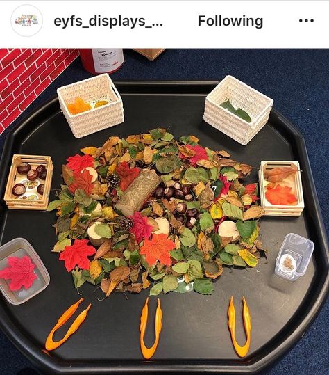 Autumn Sensory Tray, Acorn Preschool Activities, Autumn Tuff Tray Ideas, Autumn Kindergarten Activities, Autumn Tuff Tray, Autumn Eyfs Activities, Autumn Eyfs, Tuff Tray Ideas Toddlers, Fall Preschool Activities