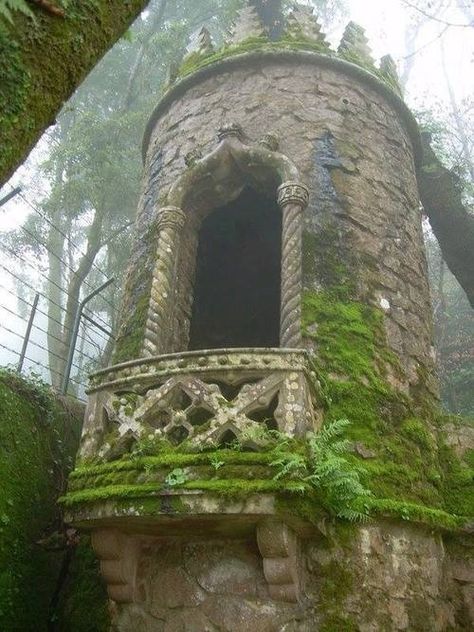 Rapunzel Tower hair princess castle story fairytale prince tower rapunzel photography Rapunzel Tower, Stone Tower, Fairytale Stories, 다크 판타지, Enchanted Garden, Old Stone, Abandoned Buildings, Abandoned Houses, Disney Princesses