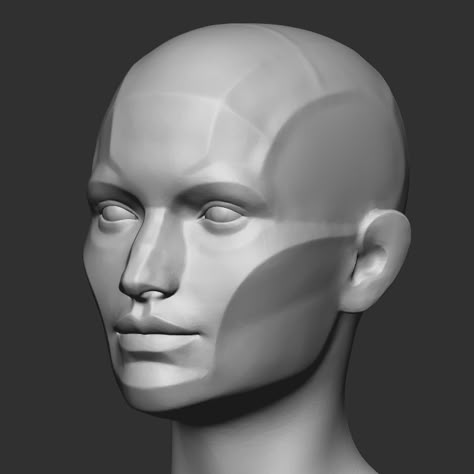 ArtStation - Alex Lashko - Female Head Planes Head Proportions, Zbrush Anatomy, Planes Of The Face, Head Female, Figure Drawing Tutorial, Face Proportions, Head Anatomy, Facial Anatomy, Sculpting Tutorials