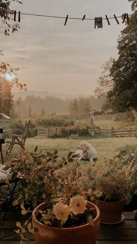 Taman Vintage, Cottage Aesthetic, Cottage Core Aesthetic, Cottagecore Aesthetic, Alam Yang Indah, Future Life, Nature Aesthetic, Pretty Places, Middle Earth