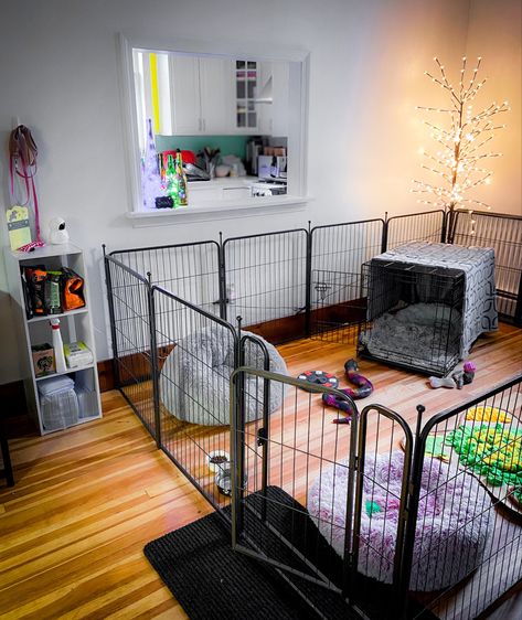 Dog Pen Area Indoor, Dog Playpen Setup, Puppy Play Pen Setup, Dog Playpen Indoor Ideas, Diy Puppy Playpen, Dog Play Pen Indoor, Puppy Playpen Ideas Indoor, Dog Pen Ideas Indoor, Puppy Area Indoor Ideas