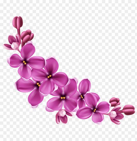 Purple Flowers Painting, Pink Floral Decor, Flower Bouquet Png, Flower Clipart Png, Background Png Images, Hd Flowers, Cherry Blossom Watercolor, Cherry Blossoms Illustration, Flower Png Images