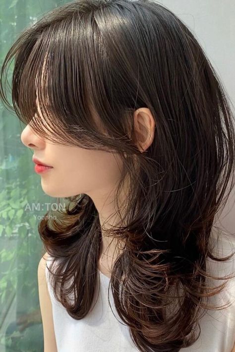 Curtain Bangs Haircut Medium Hair, Korean Short Curtain Bangs, Curtain Bangs And Braids, Cute Curtain Bangs Haircut, Long Curtain Bangs Shoulder Length Hair, Layered Korean Haircut, Long Wolfcut With Curtain Bangs, Wolfcut Hair Medium With Curtain Bangs, Korean Curtain Bangs Short Hair