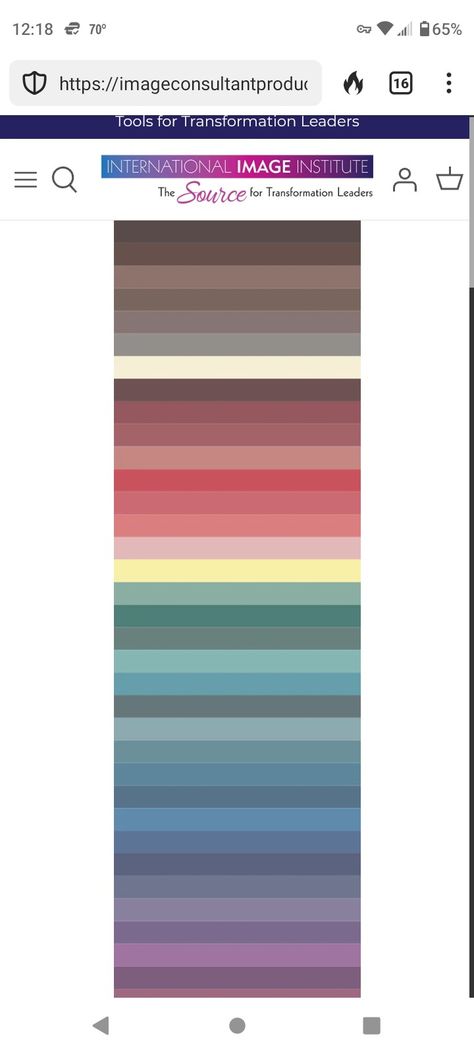 True Muted Color Palette, Muted Summer, Soft Summer Color Palette, Soft Summer Colors, Summer Palette, True Summer, Summer Coats, Summer Color Palette, Seasonal Color Analysis