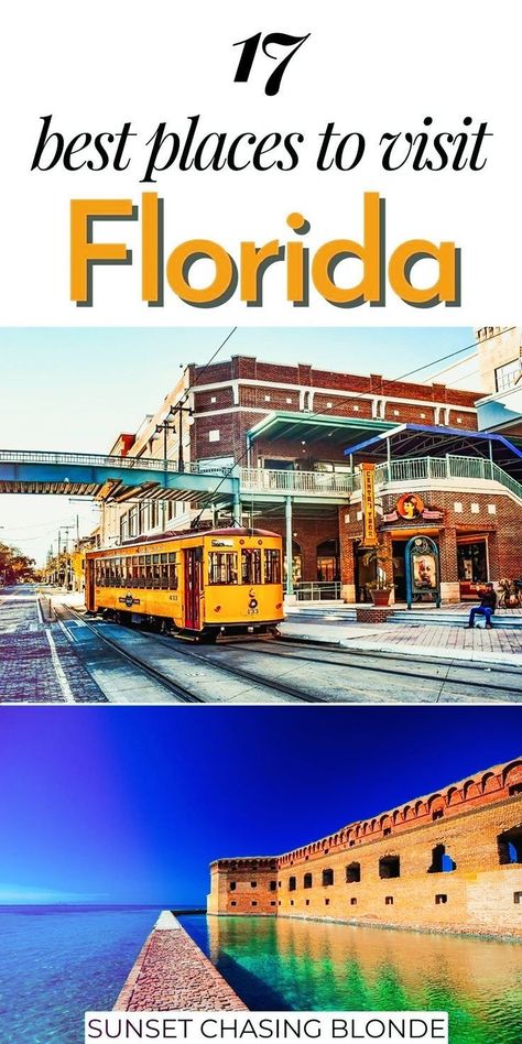 Places To Go In Florida, Best Places In Florida, Places To Visit In Florida, Things To Do In Florida, Florida Vacation Spots, Florida Travel Destinations, Florida Travel Guide, Florida Adventures, Places In Florida