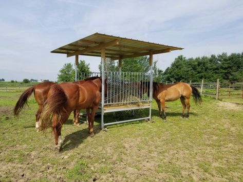 Hay Feeders, Horse Shelters & Shade Structures | Klene Pipe Slow Hay Feeder For Horses, Horse Pasture Ideas, Horse Hay Feeders, Horse Slow Feeder, Round Bale Feeder, Horse Shelters, Hay Feeder For Horses, Cattle Feeder, Horse Feeder