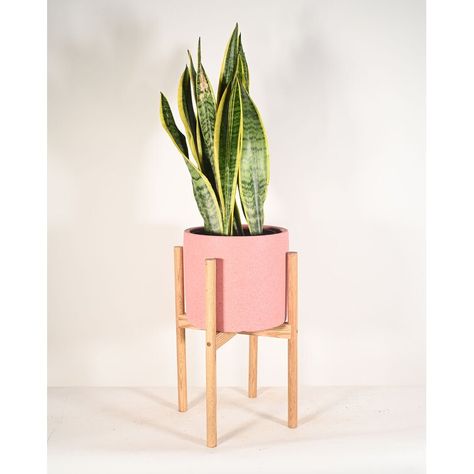 Hillyer Ceramic Pot Planter Pink Flower Pots, Upstairs Apartment, Mid Century Modern Plant Stand, Mid Century Modern Plants, Large Ceramic Planters, Wood Aesthetic, Mini Landscape, Colour Pastel, Live Indoor Plants