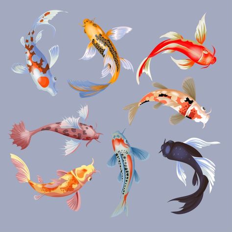 Koi Fish Cartoon, Koi Fish Colors, Carp Tattoo, Illustration Japanese, Fish Tank Themes, Fish Background, Koi Carp Fish, Koi Watercolor, Pond Painting