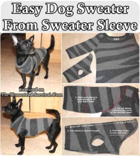 If you struggle finding clothes for your tiny dog, this post is a wealth of resources. Dog Sweater From Old Sweater, Diy Dog Sweater, Psy Chihuahua, Dog Coat Pattern, Dogs Diy Projects, Dog Sweater Pattern, Small Dog Sweaters, Dog Clothes Diy, Small Dog Clothes