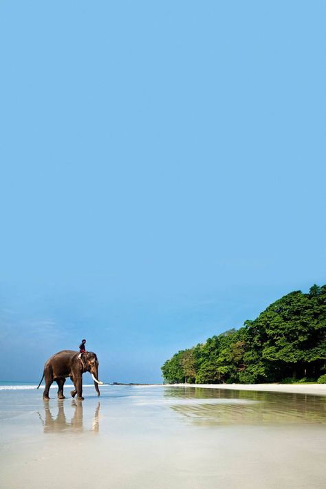 Havelock Island, Andaman Islands, Andaman And Nicobar Islands, Bay Of Bengal, Astral Travel, Uk Travel, Ocean Beach, Phuket, Goa