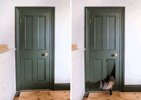 Diy Secret Cat Door, Hide Exterior Door, Secret Cat Door, Litter Cabinet, Stash Spots, Huge Shower, Bookshelf Door, Sanctum Sanctorum, Cat Flap