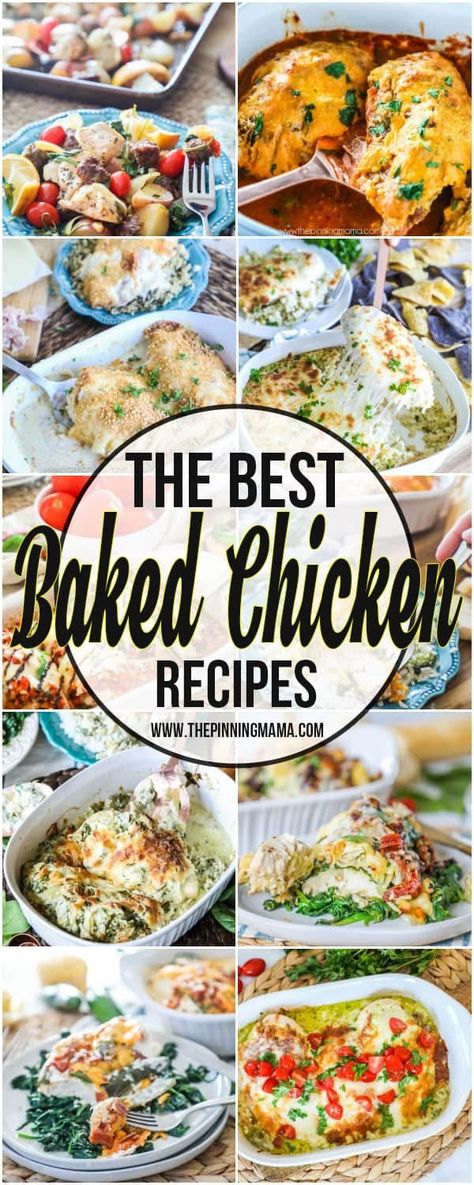 The BIG List of Baked Chicken Recipes • The Pinning Mama The Best Baked Chicken, The Pinning Mama, Best Baked Chicken, Cookies Best, Chicken Recipes For Dinner, Honey Glazed Ham, Cooking Challenge, Recipes For Dinner, Recipe Chicken