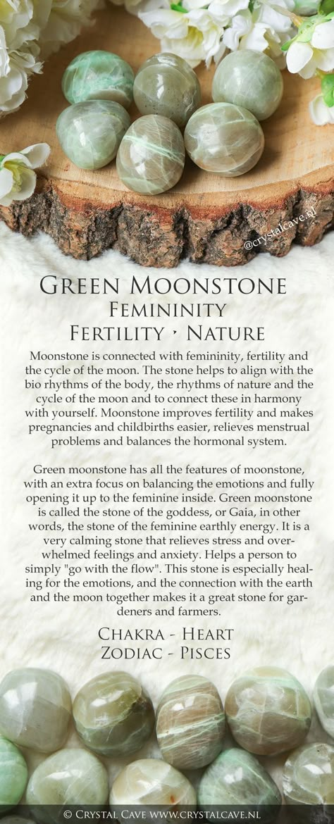 Tattoos Architecture, Moonstone Properties, Crystal Identification, Green Moonstone, Crystal Healing Chart, Healing Crystals Meanings, Mineral Green, Zodiac Sign Capricorn, Green Moon