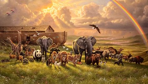 Noah's Ark Art, Good Morning Gifs, Ali Bin Abi Thalib Art, Jesus Background, Morning Gifs, Daily Wishes, Noahs Ark Animals, Revelation Bible, Wild Animal Wallpaper