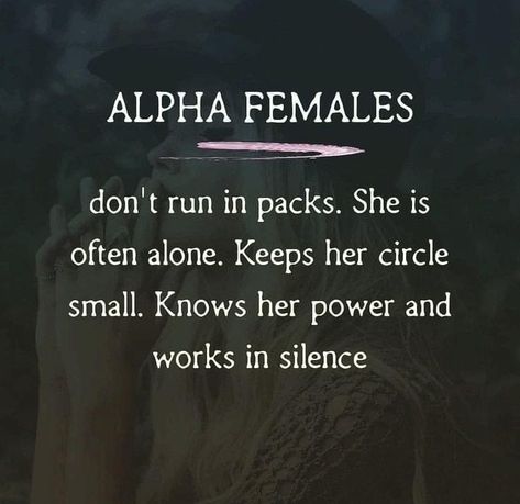 Female Warrior Quotes, Inspirationsl Quotes, Prayer For New Beginnings, Alpha Females, Awakening Quotes, Gemini Woman, Alpha Female, Daily Word, Warrior Quotes