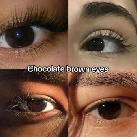 Brown Eye Color Shades, Brown Eye Types, Chocolate Brown Eyes Aesthetic, Very Dark Brown Eyes, Nut Brown Eyes, Types Of Brown Eyes, Russet Brown Eyes, Dark Brown Eyes Aesthetic, Black Eyes Color