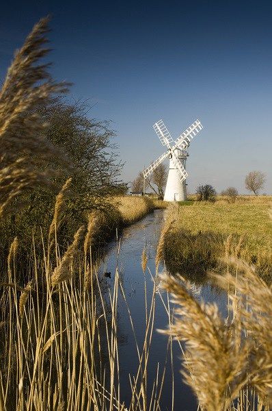 windmill Norfolk Suffolk Coast, North Norfolk, Art Examples, Norfolk Broads, Norfolk England, Sailing Holidays, Norfolk Coast, Food And Travel, British Food