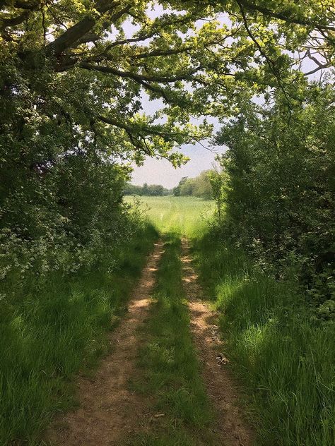 Swedish Summer Aesthetic, Greek Summer Aesthetic, Aesthetic Mamma Mia, Your Name Aesthetic, Mamma Mia Aesthetic, Mia Aesthetic, Aesthetic Greek, Nature Core, Name Aesthetic