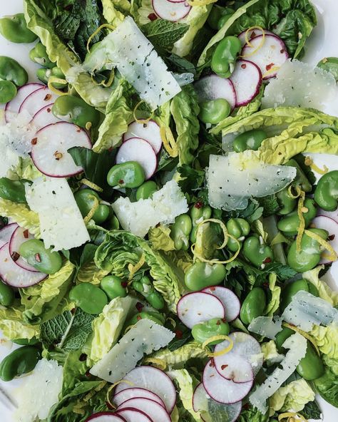 Fava Bean, Mint and Manchego Salad | The Lemon Apron Manchego Salad, Fava Beans Salad, Spring Meals, Healthy Beans, Fava Bean, Bean Pods, Broad Beans, Manchego Cheese, Light Salad