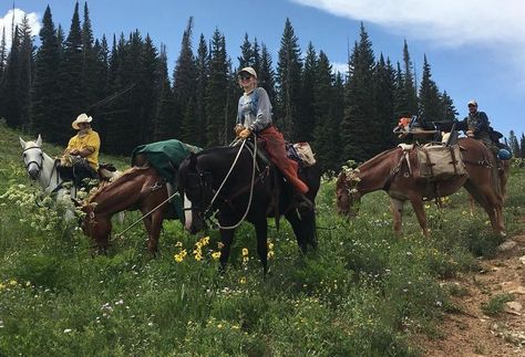 Archery Elk Hunting, Research Plan, Natural Resource Management, Steamboat Springs Colorado, Wildland Fire, Wildland Firefighter, Guest Ranch, Dude Ranch, Environmental Education