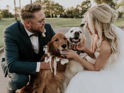 Wedding photos with dog Dog Wedding Pictures, Dog Wedding Photos, Dogs Wedding, Wedding Photography Shot List, Dogs Ideas, Wedding Shot List, Romantic Beach Wedding, Wedding Portrait Poses, Photos With Dog