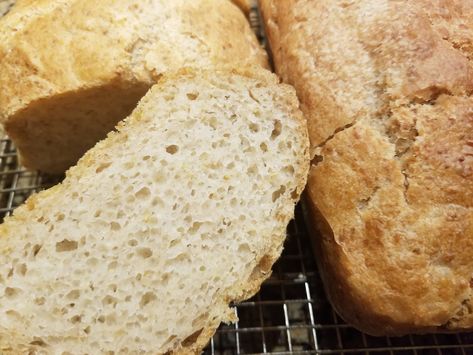 The BEST, Oat, flax, buckwheat, soft gluten free bread! Soft Gluten Free Bread, Easy Gluten Free Bread, Buckwheat Bread, Oat Bread, Flour Bread, Bread Soft, Gluten Free Recipes Bread, Cooking Courses, Gf Bread