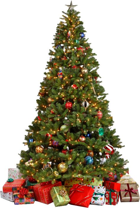 Tree Transparent Background, Fake Xmas Tree, Artifical Christmas Tree, Best Artificial Christmas Trees, Christmas Tree Images, Christmas Tree With Presents, Christmas Tree Clipart, Real Christmas Tree, Tree Png