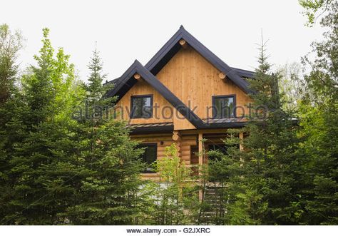 Cottage style log home with black trim through evergreen trees in spring Quebec Canada This image is property released - Stock Image Home With Black Trim, Log House Exterior, Log Home Exterior Colors, Cabin Exterior Colors, Trees In Spring, Home Facade, Log Homes Exterior, Black Window Trims, Log Cabin Exterior