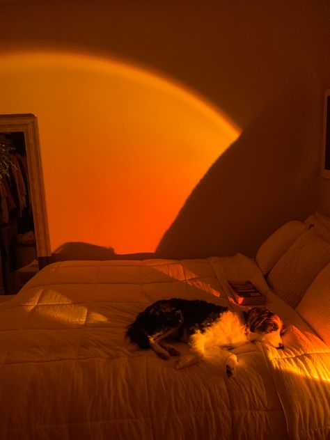 Sunlamp Aesthetic Pics, Late Night Bedroom Aesthetic, Bedroom Sunset Lamp, Landscapes Reference, 2024 Wellness, Sunrise Lamp, Sunset Bedroom, 60s Bedroom, Projector In Bedroom