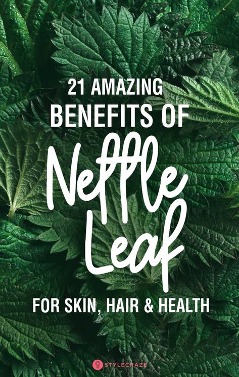 Nettle Leaf Benefits, Benefits Of Stinging Nettle, Nettle Tea Benefits, Benefits Of Nettle, Nettle Benefits, Nettle Leaf Tea, Nettle Leaf, Calendula Benefits, Stinging Nettle