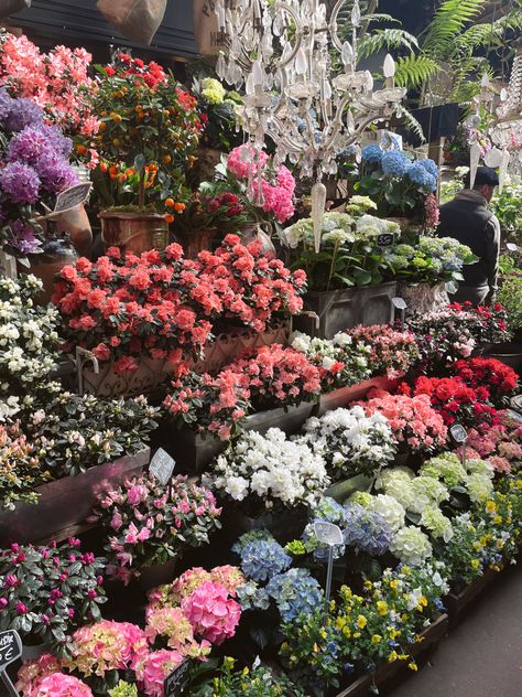 flower market Greece Italy, French Coffee, French Flowers, Flower Market, Luxembourg, Northern Ireland, Travel Bucket, Travel Bucket List, Paris France