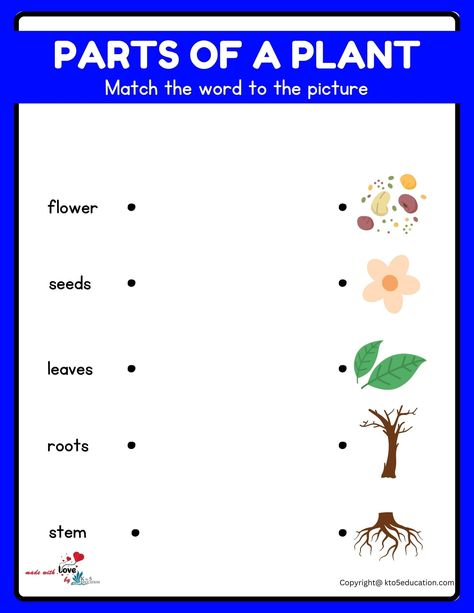 Parts Of Plants Worksheet Printable | FREE Download Plant Parts Worksheet, Parts Of A Plant Worksheet, Plant Worksheet, Parts Of The Plant, Plants Worksheets, Worksheets For Class 1, Plant Parts, Fun Worksheets For Kids, Planting For Kids