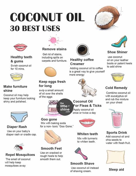 Eating Coconut Oil, Uses For Coconut Oil, Coconut Oil Lip Balm, Oil Pulling Benefits, Castor Oil Benefits, Coconut Benefits, Food Health Benefits, Coconut Oil Uses, For Healthy Skin