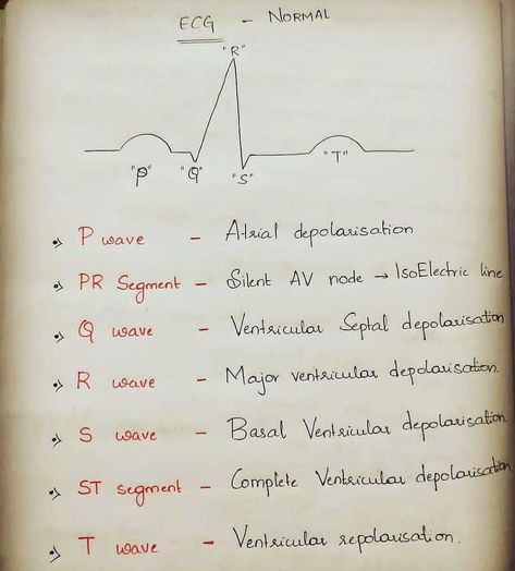 Med Surge, Medical School Quotes, Paramedic School, Nursing Mnemonics, Nursing Student Tips, Surgical Nursing, Cardiac Nursing, Medical Student Study, Nursing School Survival