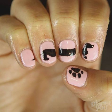 Acrylic Nails Dog Designs, Dachshund Nail Designs, Weiner Dog Nails, Dachshund Nail Art, Dog Nail Art Designs, Dog Themed Nails, Dachshund Nails, Dog Nails Design, Dog Nail Art