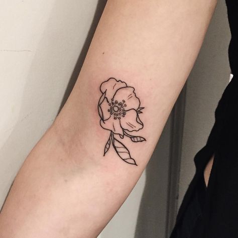 “Wild roses all day. A little one for Jessica!” Awful Tattoos, Wild Rose Tattoo, Olivia Harrison, Delicate Flower Tattoo, Cherokee Rose, Poppies Tattoo, Subtle Tattoos, Nature Tattoos, Star Tattoos