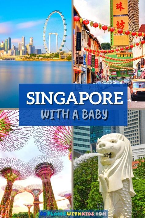 Singapore With Kids, Singapore Travel Tips, Singapore Itinerary, Singapore Zoo, Visit Singapore, Wildlife Reserve, Singapore Travel, Family Friendly Activities, Baby Tips