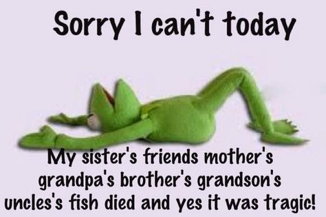 Sorry I can't today- Kermit the frog Sick Funny, Frog Quotes, Kermit Funny, Daily Reflections, Fatigue Syndrome, Banda Aceh, Kermit The Frog, Sister Friends, Chronic Inflammation