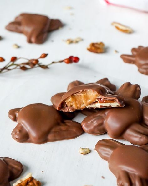 Homemade Chocolate Turtles - Baking for Friends Candy Making Recipes, Baking For Friends, Homemade Turtles, How To Temper Chocolate, Chocolate Turtles, Creamy Caramel, Chocolate Nuts, Simply Irresistible, Edible Gifts