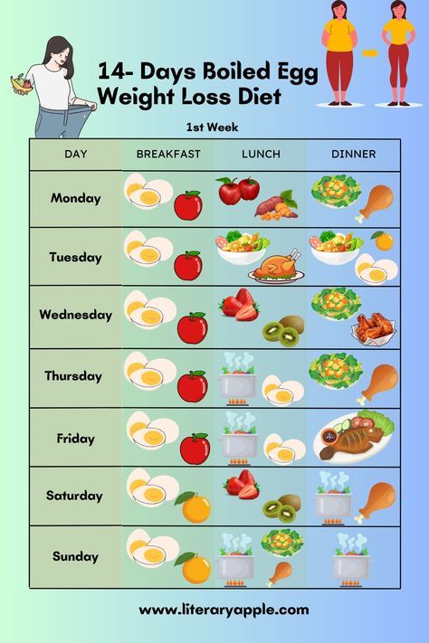 Healthiest Diet, Protein Diet Plan, Egg Diet Plan, Boiled Egg Diet Plan, Boiled Egg Diet, Makanan Diet, Egg Diet, Boiled Egg, Healthy Meal Plans