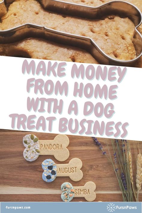 Start A Dog Treat Business / Selling Dog Treats Business / Dog Food Business, Dog Bakery Logo Ideas, Selling Dog Treats Business, Dog Boutique Ideas Business, Dog Treats Packaging Ideas, Dog Treats To Sell, Dog Bakery Ideas, Dog Treats Business, Dog Treat Packaging Ideas