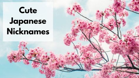 Cute Japanese Nicknames, Nicknames Japanese, Japanese Nicknames For Boyfriend, Nicknames With Meaning, Best Friend In Japanese, Cute Name For Best Friend, Japanese Nicknames, Japanese Names For Girls, Japanese Terms