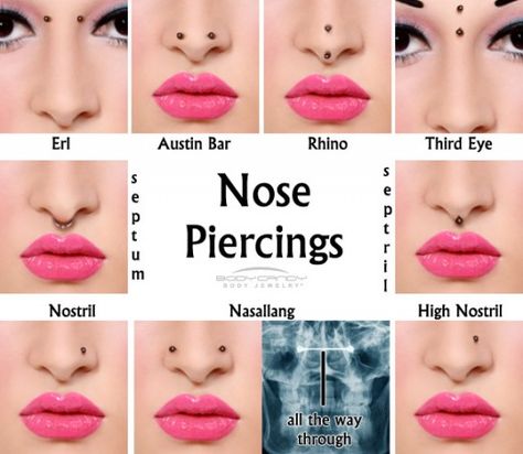 Everything You Need To Know About Piercings Body Piercing Chart, Different Nose Piercings, Kawaii Piercings, Piercing No Rosto, Astro Projection, Types Of Nose, Piercing Facial, Septum Nose Piercing, Ear Piercings Chart