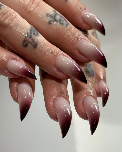 MIRRORS (@srorrim.mirrors) • Instagram photos and videos Werewolf Nails Acrylic, Werewolf Acrylic Nails, Claw Nails Aesthetic, Dirty Nails Aesthetic, Vampire Stiletto Nails, Vampire Aura Nails, Cat Claws Nails, Goth Glam Nails, Cat Claw Acrylic Nails