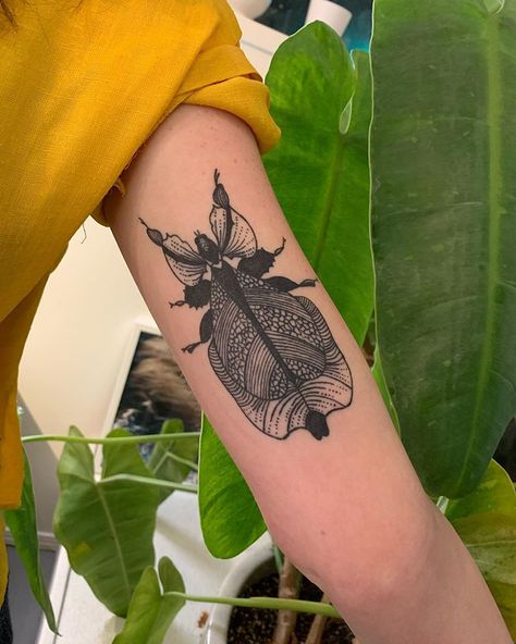 Leaf Bug Drawing, Leaf Insect Tattoo, Stick Insect Tattoo, Leaf Bug Tattoo, Stick Bug Tattoo, Bug Sleeve Tattoo, Pill Bug Tattoo, Stink Bug Tattoo, Bug Tattoo Sleeve