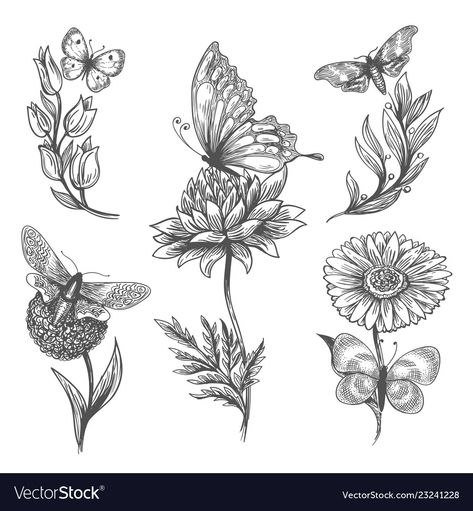 Drawn Butterflies, Flowers Doodle, Butterfly Plant, Plant Doodle, Butterfly Sketch, Sketch Icon, Doodle Vector, Butterfly And Flowers, Halloween Fairy