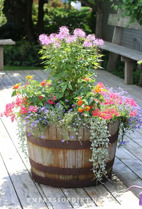 These creative ideas for planting wagons, carts, bikes, wheelbarrows, and whiskey barrels come from home gardens. Wagon Planter Ideas, Whiskey Barrel Planter Flowers, Barrel Planter Ideas, Barrel Garden Planters, Barrel Flowers, Whiskey Barrel Planter, Rustic Plant Stand, Wine Barrel Planter, Wagon Planter