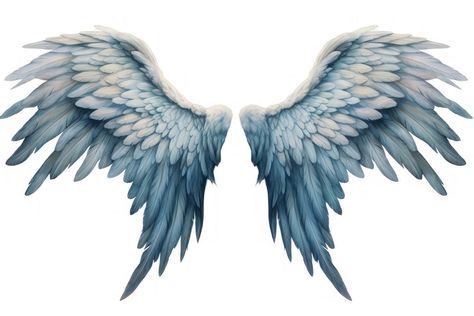 Angel Wings Types, Blue Angel Wings, Angel Wing Tattoo, Wings Bird, Art Ukraine, Dreamcore Aesthetic, Wing Tattoo Designs, Guitar Photos, Angel Wings Tattoo